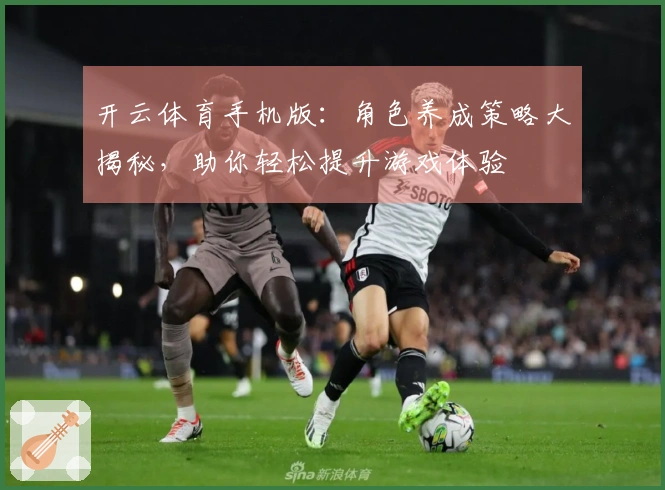 开云体育手机版：角色养成策略大揭秘，助你轻松提升游戏体验